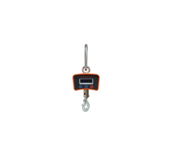 500kg Digital Crane Scale