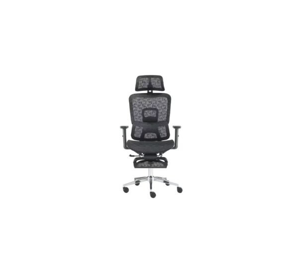 Ergonomic Office Chair with Headrest & Retractable Footrest
