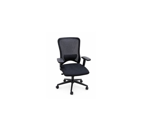 ProMesh Ergonomic Office Chair SX-2510